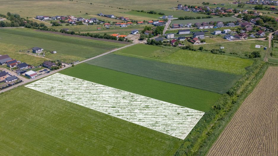 Teren 9.300 mp Stupini | Front 45.59 m la Asfalt | PUG Zonă L1c - Poză 4