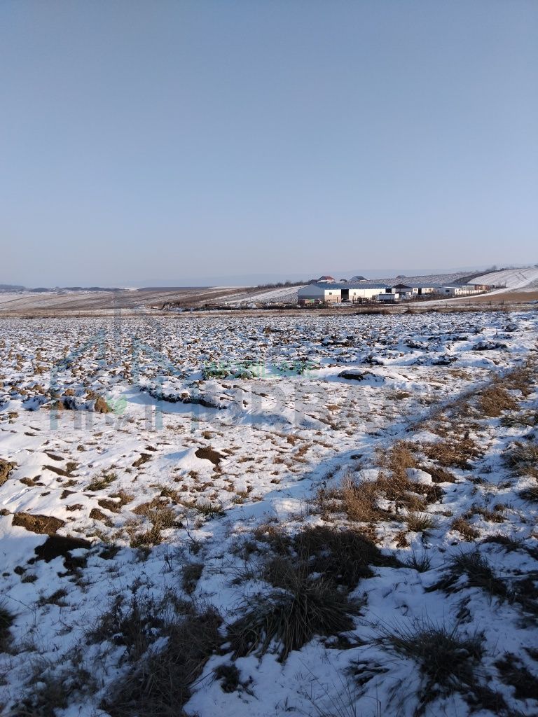 Vand teren intravilan si extravilan. - Poză 2