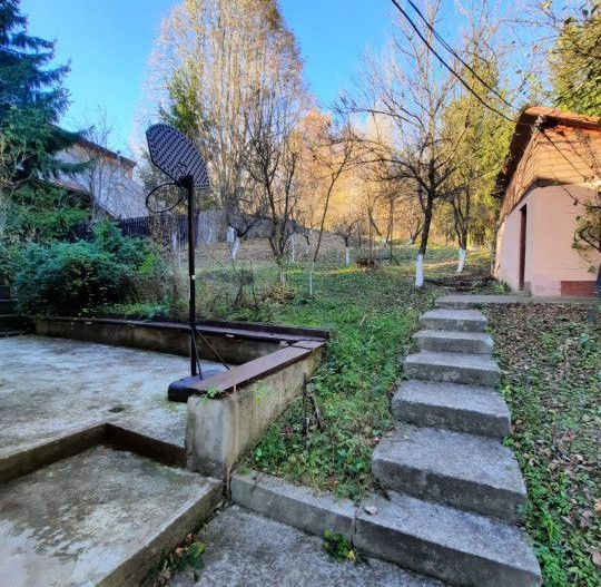 Casa 4 camere, teren 1960m2, CT, Provita, Prahova - Poză 4