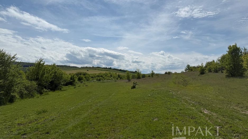 Teren de vânzare în Salistea Noua! - Poză 3