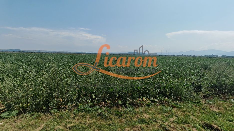 Teren intravilan 3,85 ha,Brasov DN 13 langa MILLE, OLYMPUS, ARKADA - Poză 3