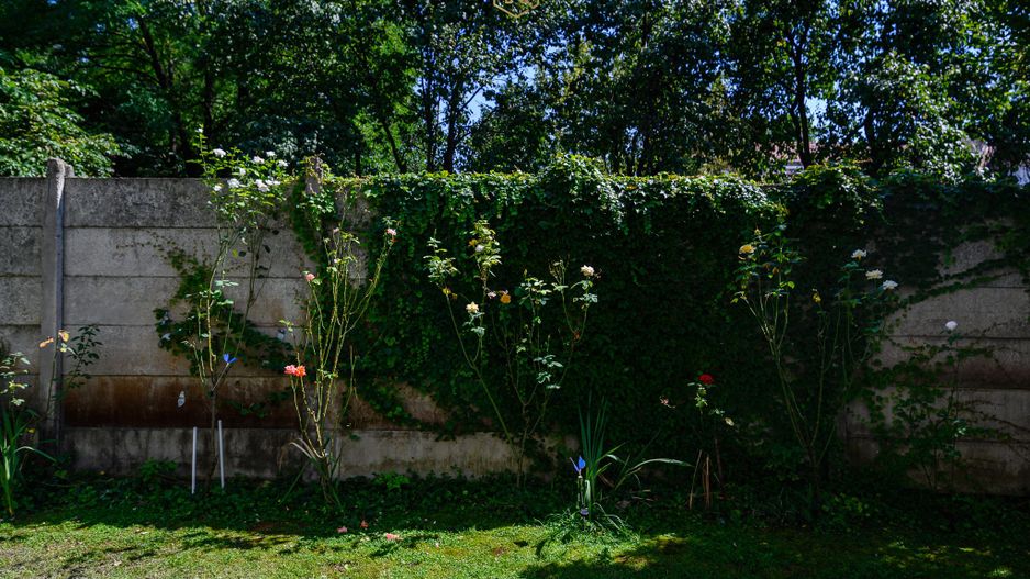 Oferta inchiriata - Apartament langa Facultati, Central - 2 camere - Poză 20