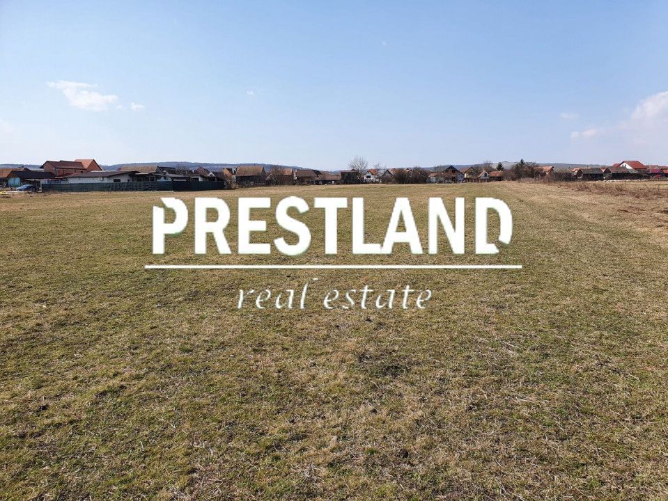 8.600 mp-Șura Mică-20 Euro-mp. - Poză 3