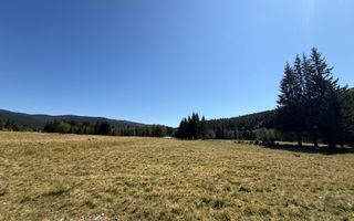 SUPER OCAZIE  - Teren intravilan, COMANDAU-PUZ case de vacanta. - Poză 4