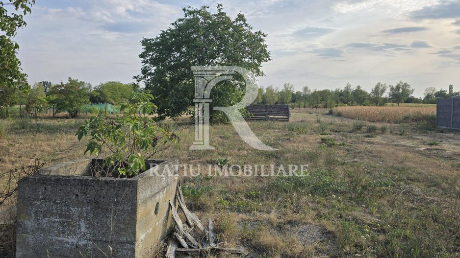 Teren intravilan 6.514mp | 39m front stradal | Ciocaia | Săcuieni - Poză 5