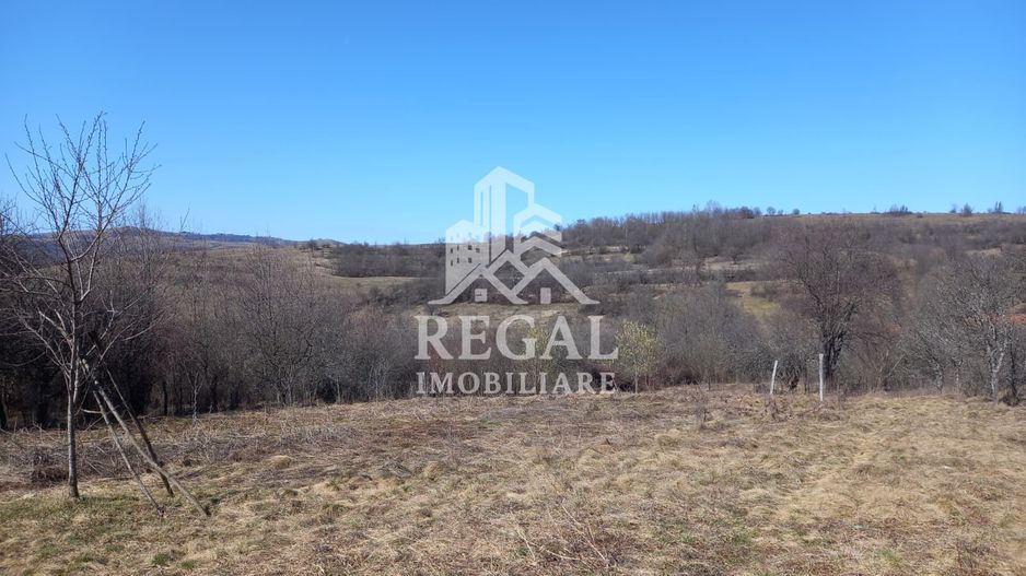 Două case de vânzare – Cerisor – teren generos 6996 mp - Poză 14