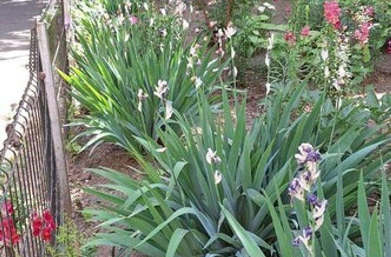 Apartament cu o camera, renovat, mobilat si utilat - Micro 39 - Poză 11