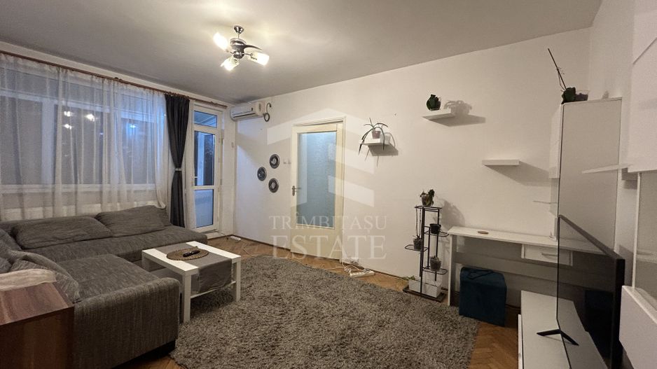 2 Camere Calea Grivitei Pet Friendly - Poză 2