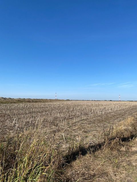 Teren agricol în Zona Sagului - Poză 2