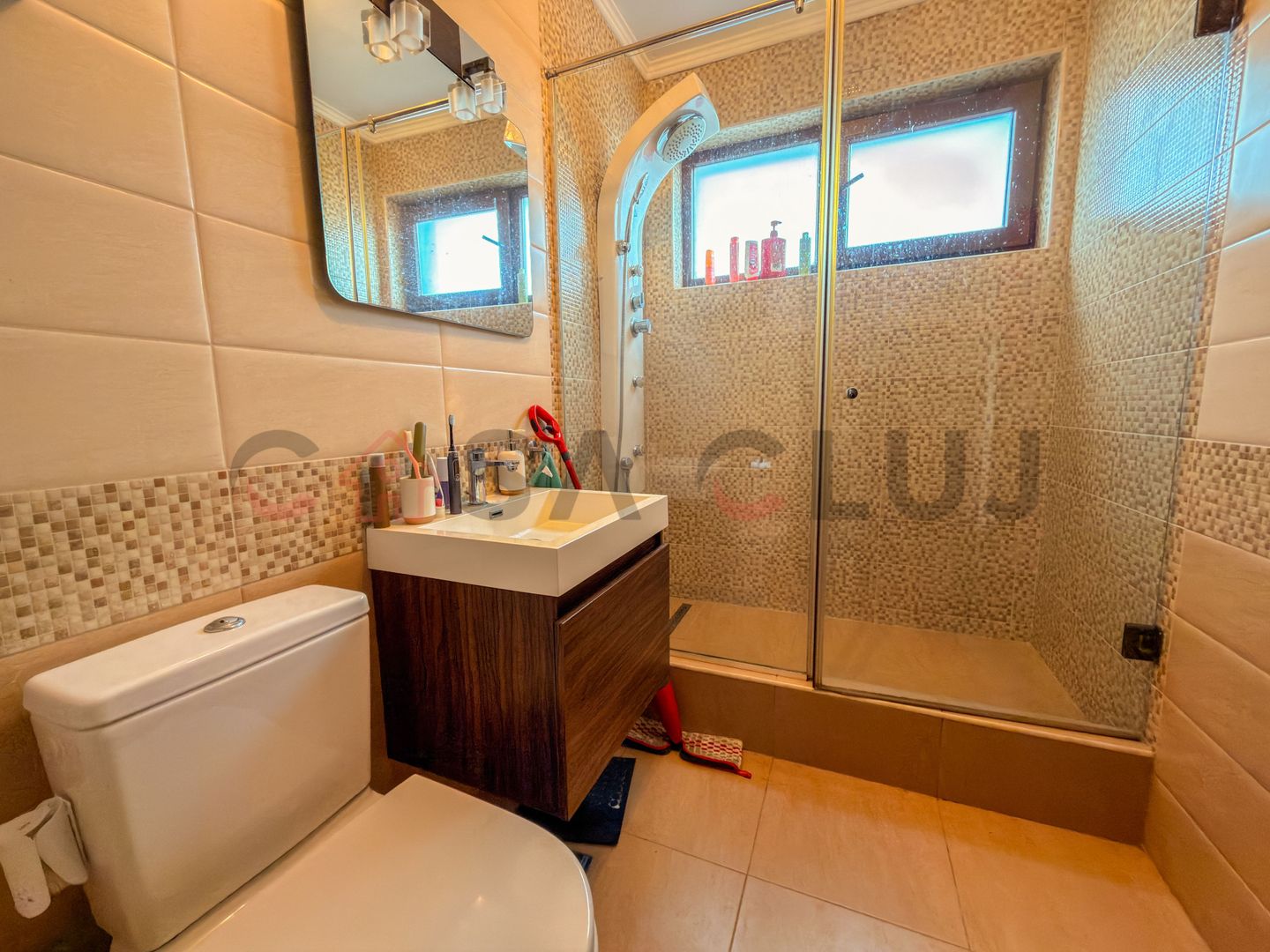 3 camere, 2 bai, spațios, garaj, Bibescu, Zorilor ! - Poză 8