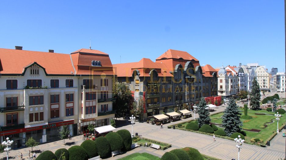 Piata Victoriei, 3 camere, pet-friendly - Poză 5