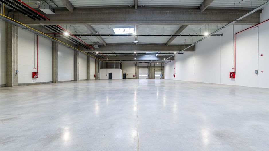 1202 mp - Hala industriala de inchiriat in Parc Industrial Arad - Poză 3