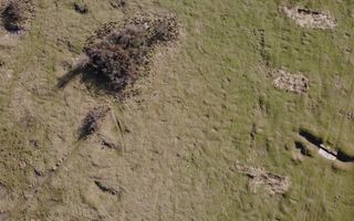 COMISION 0% | Teren Intravilan - Pentru Constructie Bloc - Giroc - Poză 4