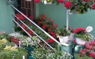 Casă de vânzare 4 camere - zona centrală, Bistrita - Poză 2