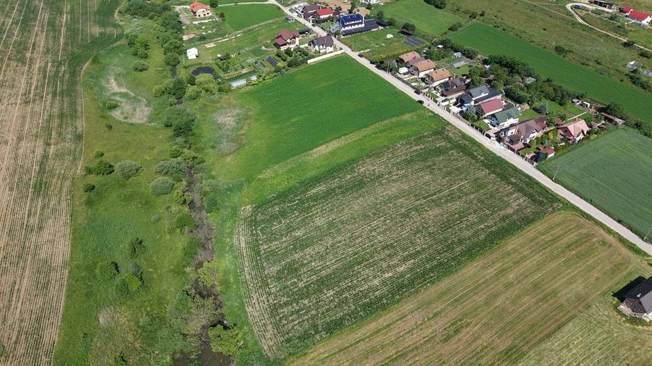 Teren intravilan 10.000 mp, Rotbav (Feldioara) - Poză 6