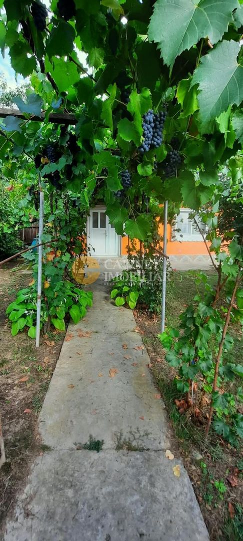 🏡 CASĂ BĂTRÂNEASCĂ LOCUIBILĂ DE VÂNZARE – TRIFEȘTI, IAȘI 🏡 - Poză 4