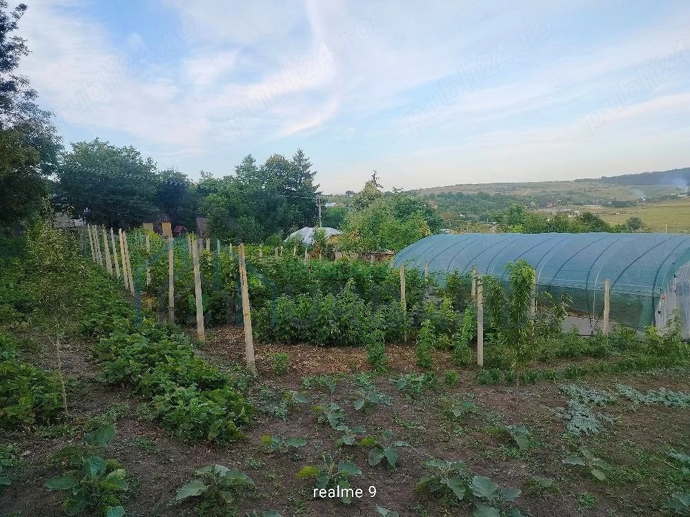 Teren intravilan de 1550 mp în localitatea Buznea, strada Corneliu Coposu - Poză 5