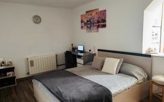 Garsoniera cocheta, 24 mp, zona Expo Transilvania - Poză 1
