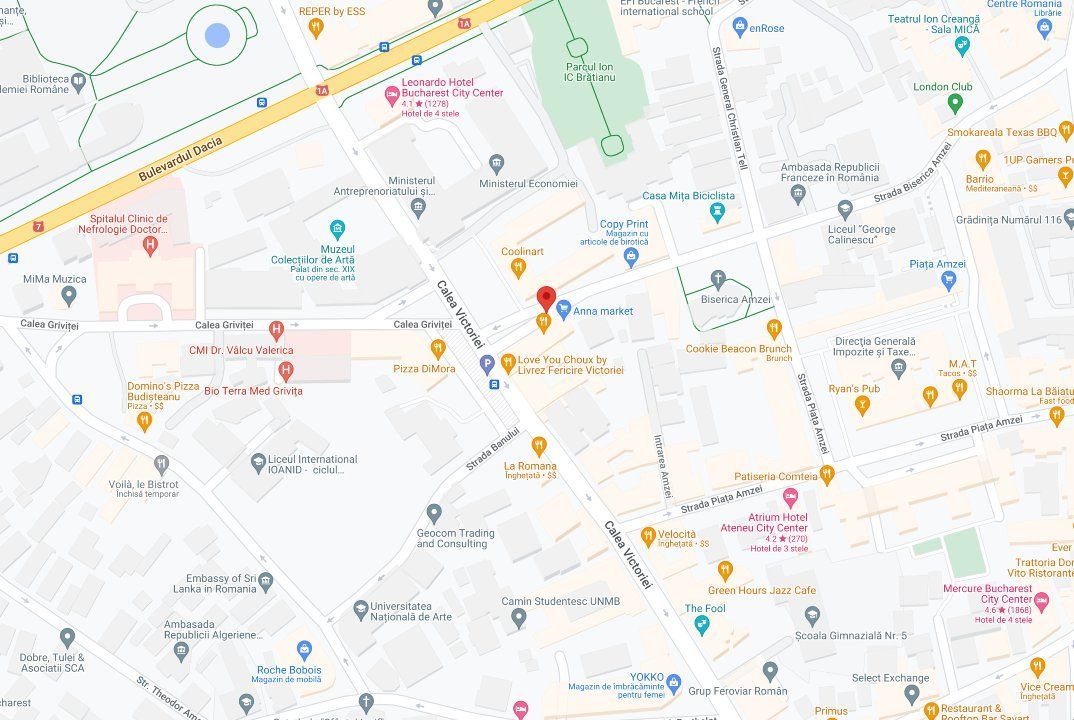 3 cam, Calea Victoriei, ultracentral - Poză 15