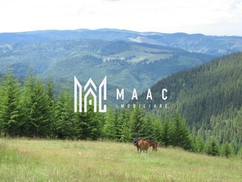 Teren 1300 MPU | Intravilan | Valea Avrigului - Poză 3