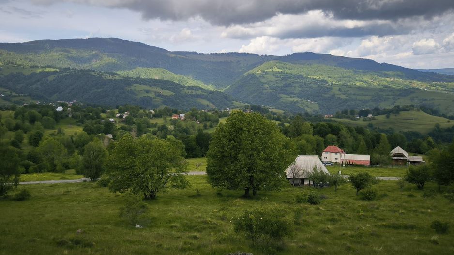 Teren Rogojel 15.000MP 8 EURO/MP - Poză 1