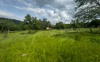 TEREN INTRAVILAN 4600 MP, VOINESTI, LERESTI, ARGEȘ - Poză 16