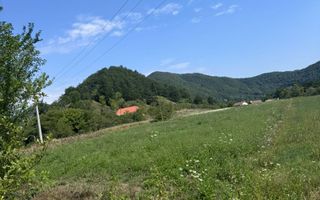 Teren 3600 mp Cheile Nerei - Optiune plata in transe! - Poză 3