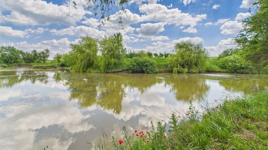 Teren cu baltă- oportunități multiple la Fibiș - Poză 20