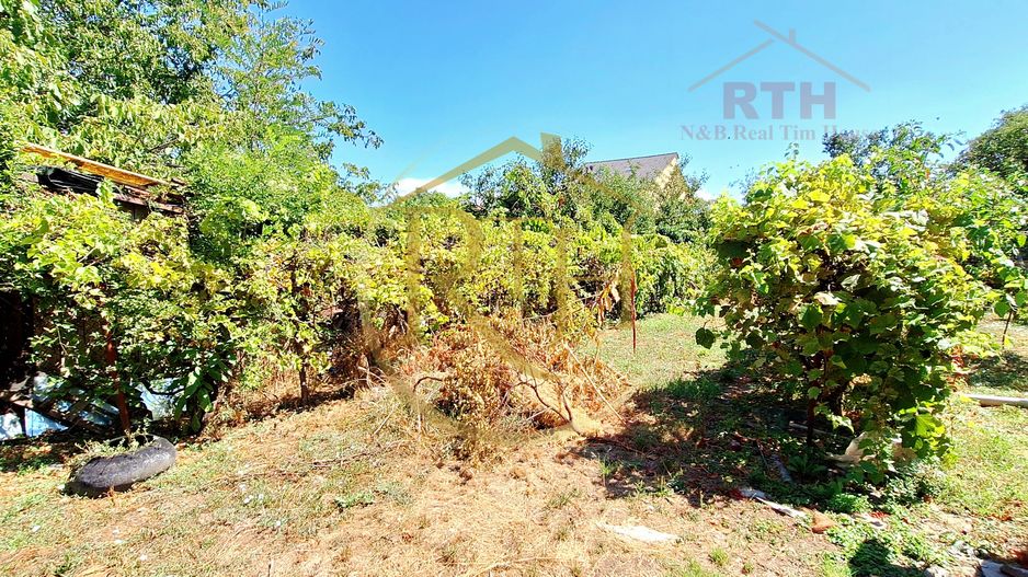 Oferim spre vanzare casa + teren, zona Sagului,  Necesita renovare - Poză 9