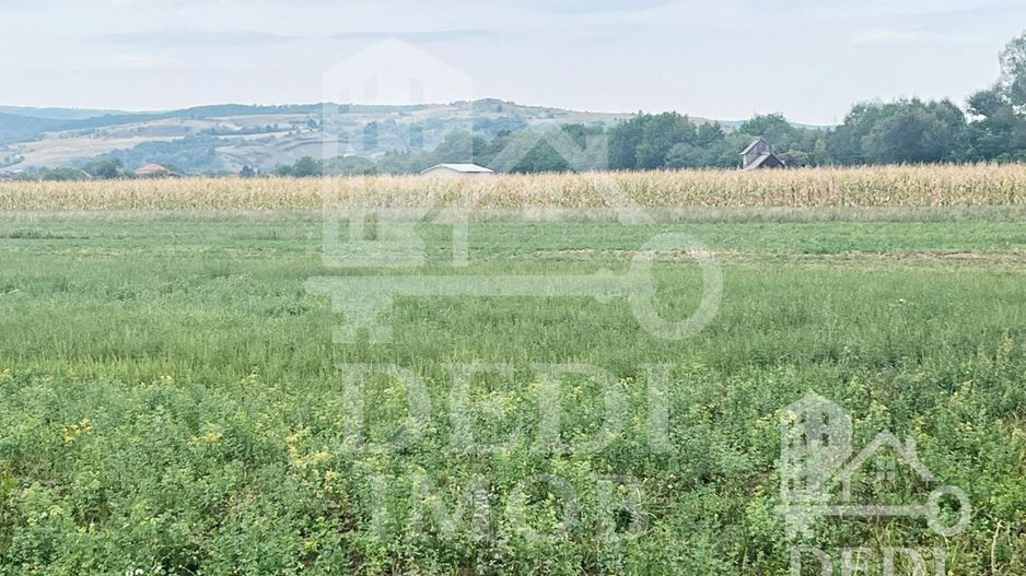 Teren extravilan Lugasu de jos, Bihor - Poză 6