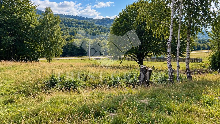 Teren de vânzare 1.300 mp în Râșnov | Proiect Glamping & Tiny Houses | - Poză 8