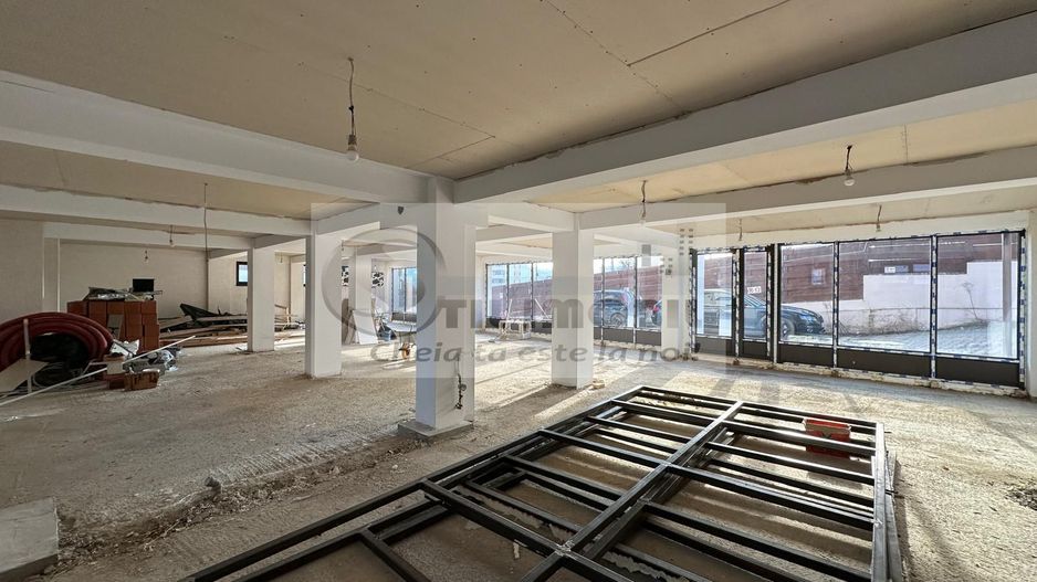 Spatiu comercial prin destinatie - 176mp - bucium - visan - Poză 3