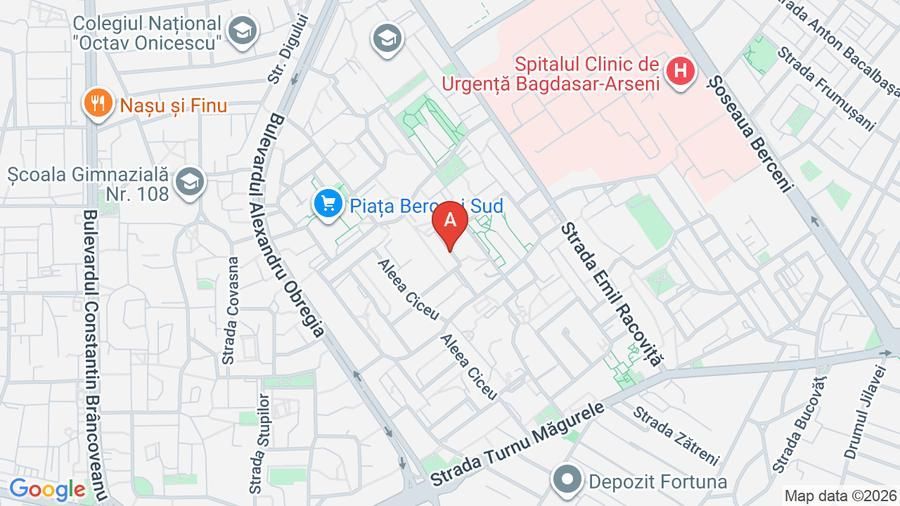 Apartament 3 camere la 7 minute Metrou Sudului, Piața Străduintei - Poză 13