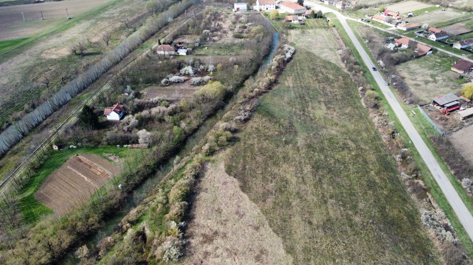 Teren intravilan Balint 22.500 mp - Poză 6