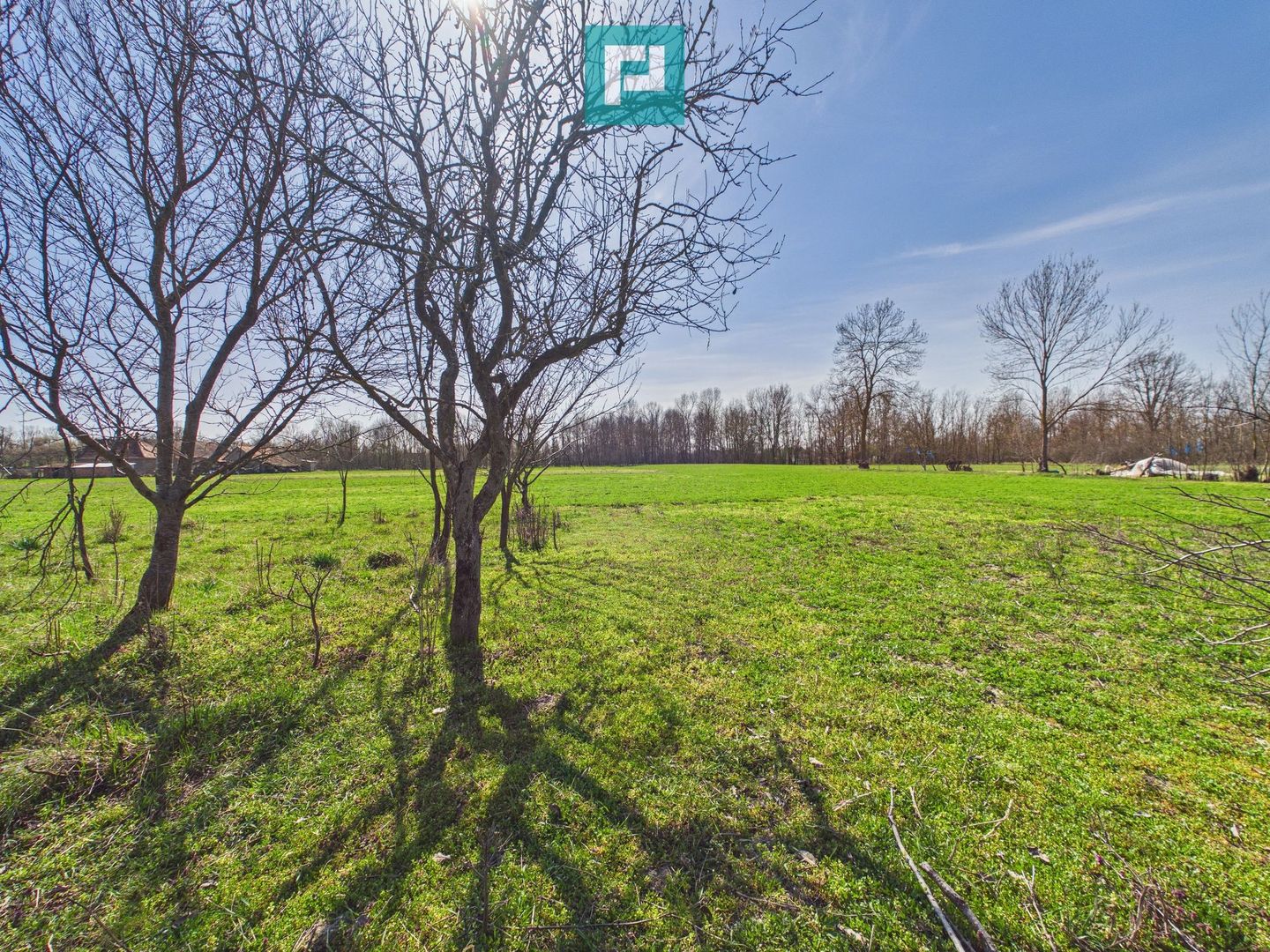 Casă cu teren generos de 6.000 m² - Poză 14