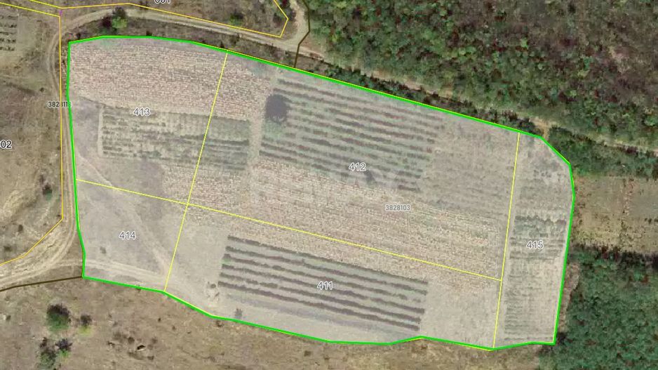 Teren pentru construcții, 120 ari pe malul Nistrului, Doroțcaia - Poză 8