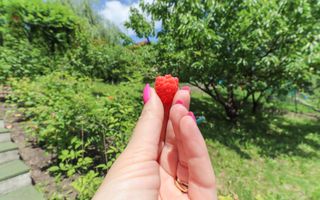 Casa individuala superba de vanzare, cartier Andrei Muresanu! - Poză 5