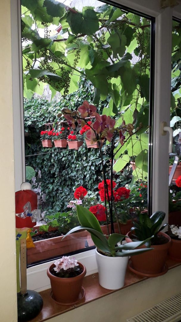 Casă individala cu etaj, având 2 apartamente separate în Timișoara - Poză 11