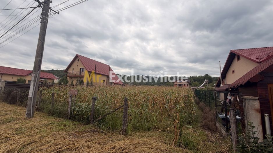 Teren pretabil unei construcții de vis - Băbana - zonă cu pădure - Poză 4