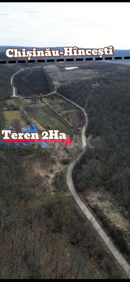 Pădure de vânzare - 2 Ha pentru Agroturism - Poză 3