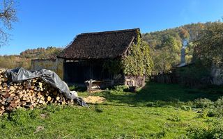 Teren intravilan Sinca Noua - Poză 4