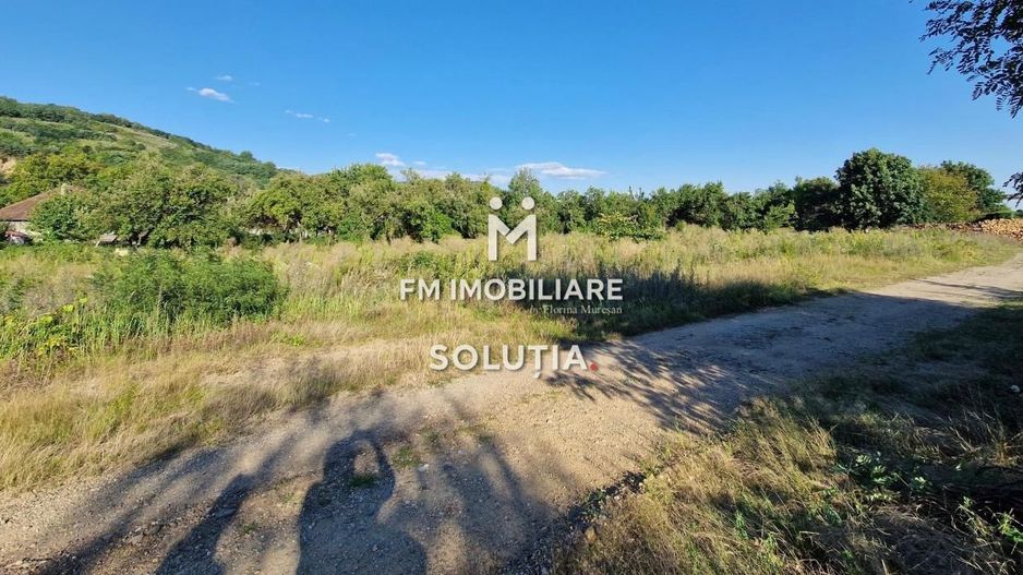 Teren intravilan cu deschidere la șoseaua principală -59 ari-Ilba! - Poză 2