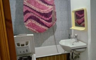 Apartament cu o cameră de închiriat pe Bulevardul Alexandru cel Bun, Iași - Poză 4