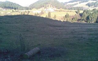 Teren, Sacele - Poză 3