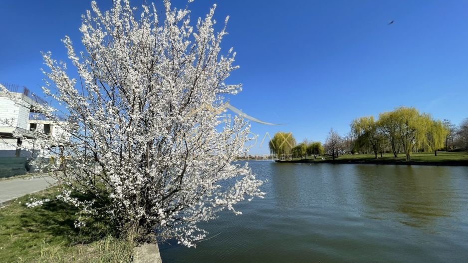 Duplex 4 camere _LUX_Modern***Lake view//Chitila - Poză 4