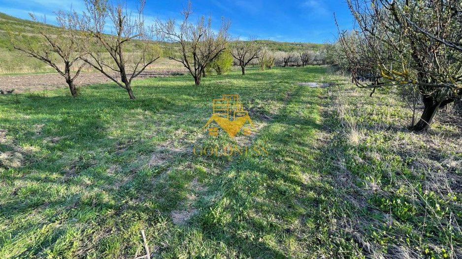 Tren Soporului Intravilan ,5500 MP Utilitati,  Oportunitate - Poză 7