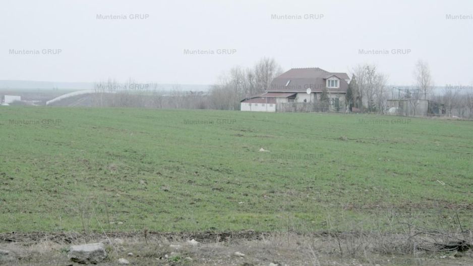 MOARA VLASIEI, langa nodul Autostrazii A3, 10200 mp. teren cu pozitie stradala - Poză 4