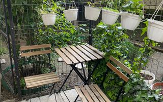 Vanzare casa de renovat in Cotroceni - Poză 13