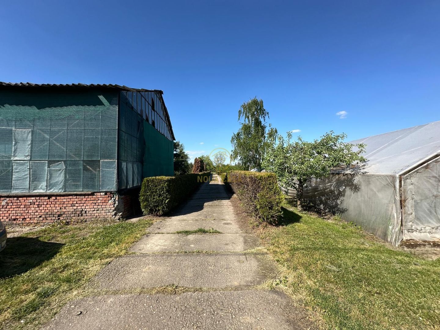 De vanzare Teren 20000MP cu sere/solarii și plantații - Poză 3