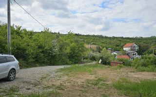 Teren intravilan Podgoria 7000mp - Poză 1